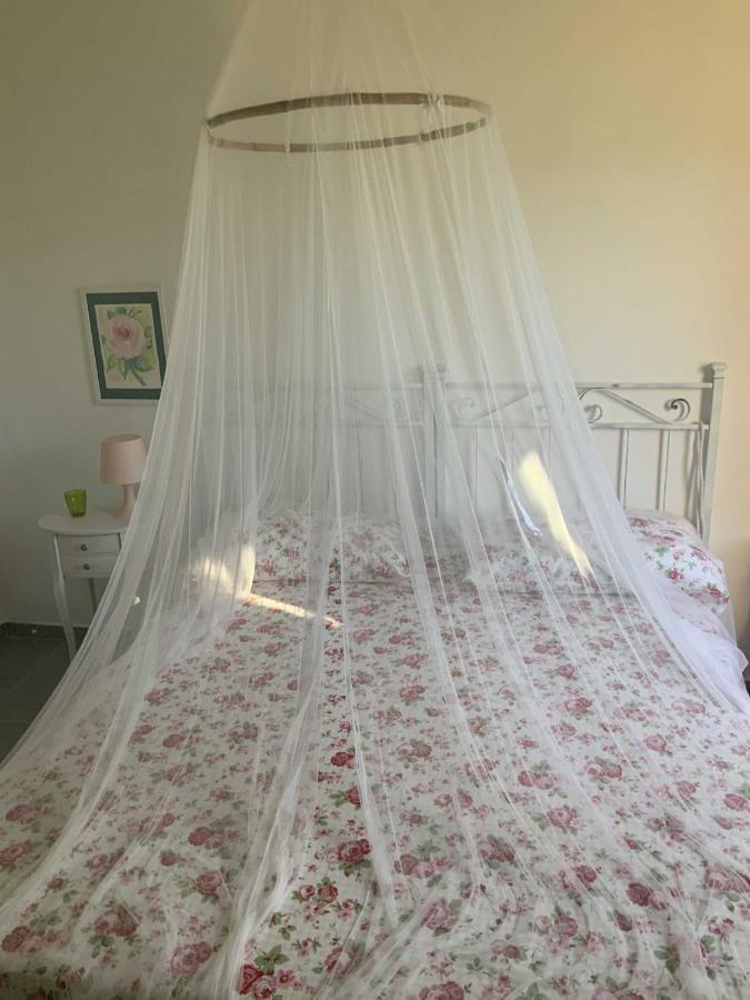 Ferienwohnung Beahouse: Casa Con Vista A Sassetta Exterior foto